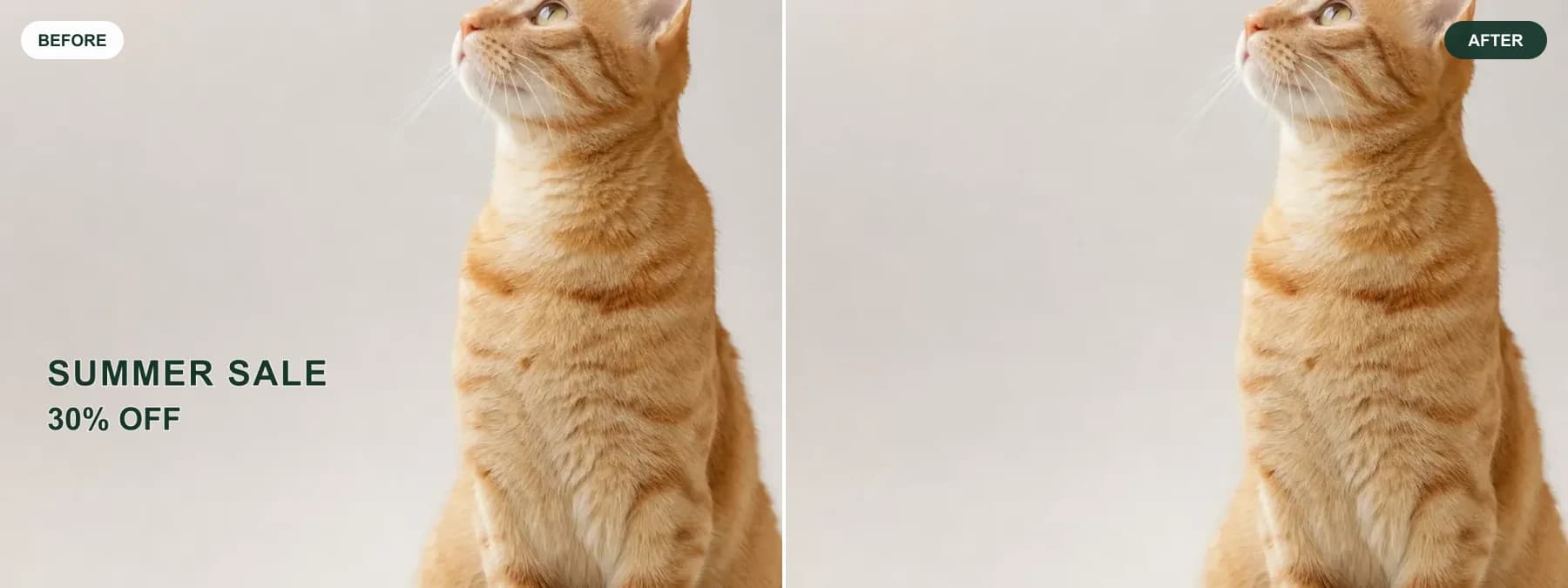 Real before and after test showing two lines of promotional text removed from a cat photo